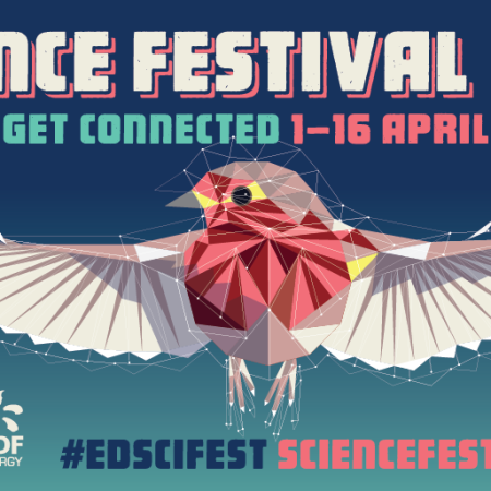 Science Festival 2017