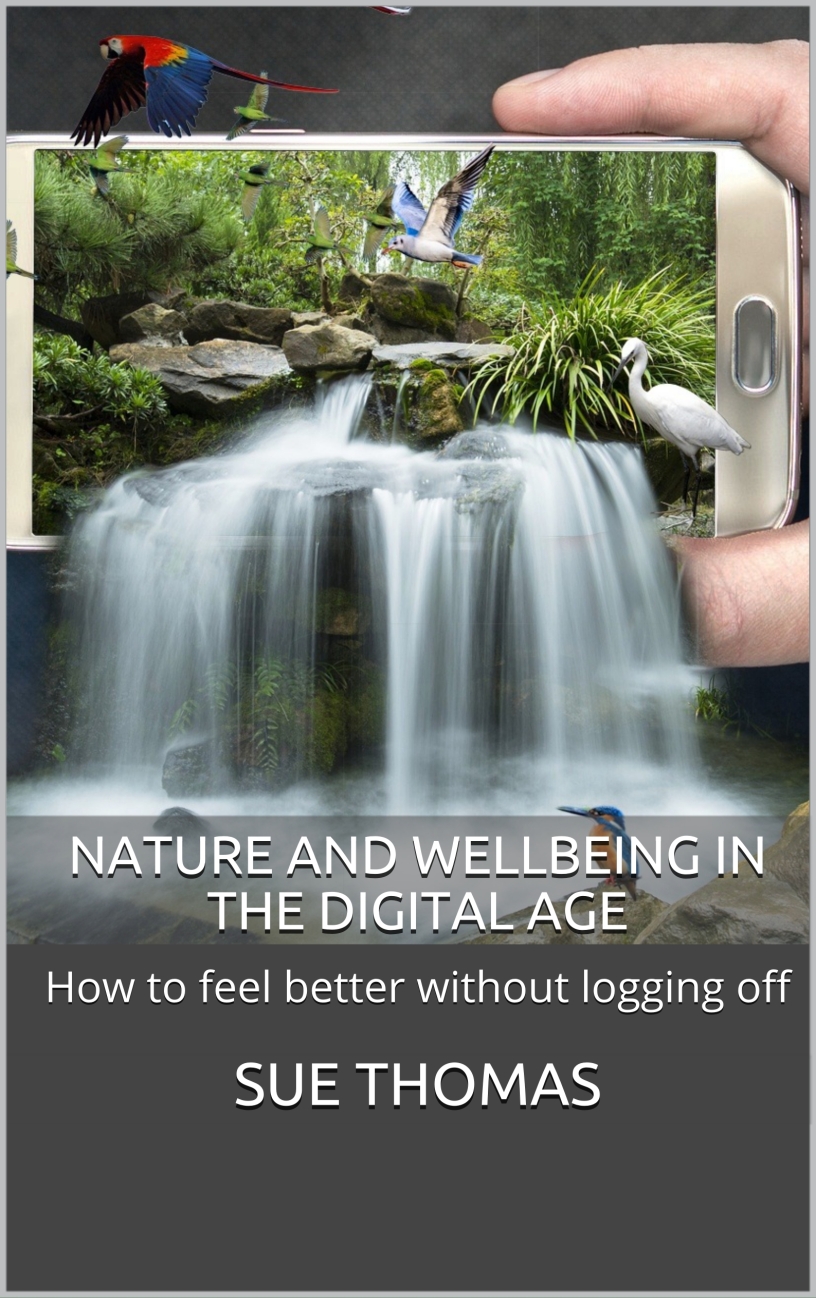 Nature and Wellbeing in the Digital Age (Kindle)